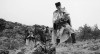 aferim film.jpg